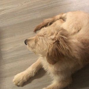 Meet your Posher, 雨祺